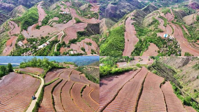 卢氏梯田及烟田风光