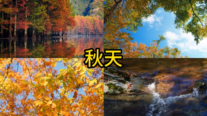 秦岭大巴山秋景
