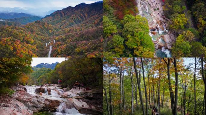 秦岭大巴山秋景
