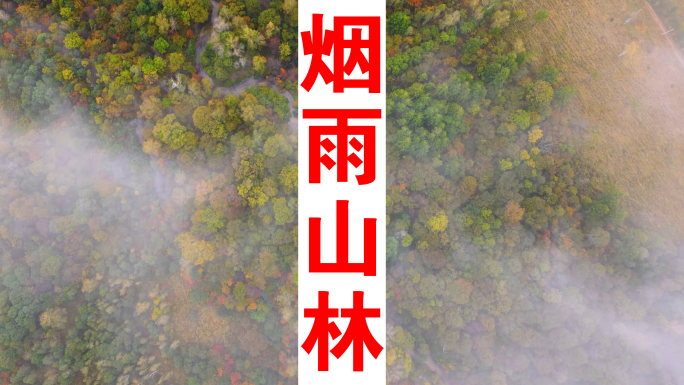 小兴安岭五花山湿地C