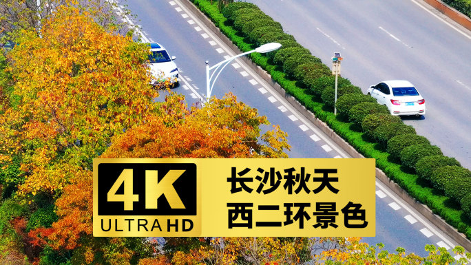 长沙秋天道路车流