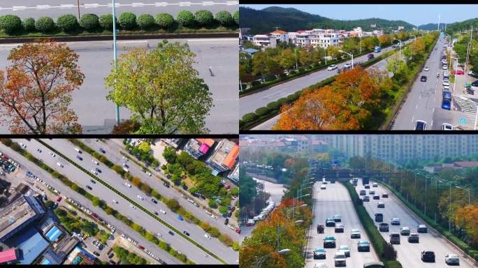长沙秋天道路车流