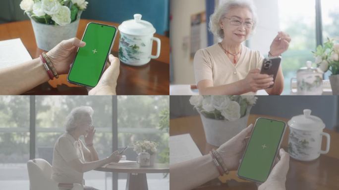 老年人看手机 银发老人