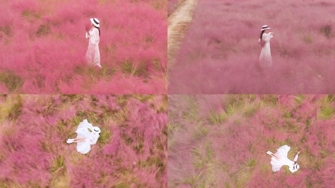 一抹粉黛入秋色