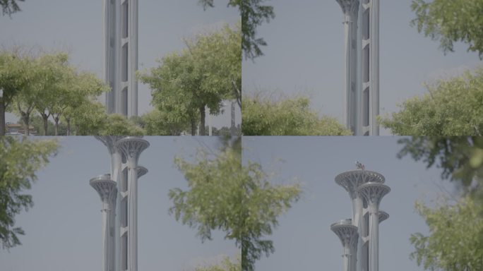 奥运 北京 火炬 鸟巢 水立方