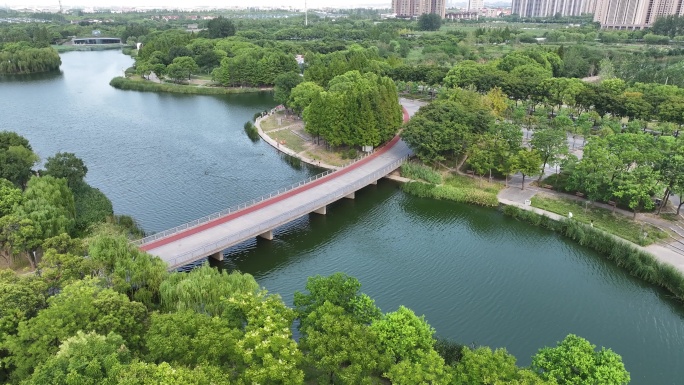 公园城市绿地小桥健身步道运动氧气户外