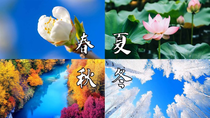 清明谷雨立夏小满芒种四季立春雨水惊蛰春分