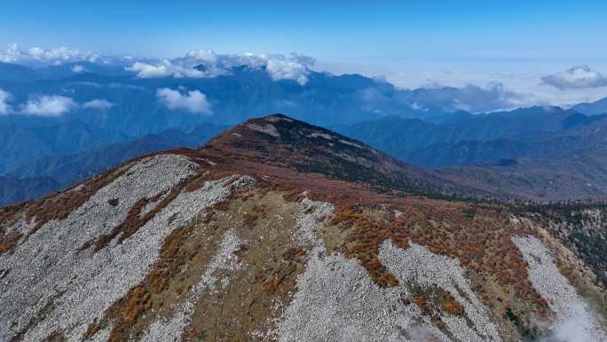 秋季秦岭冰晶顶云海