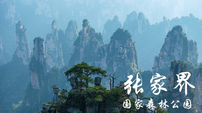 张家界