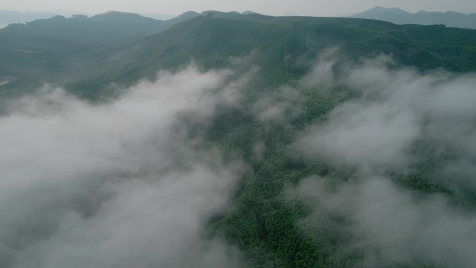 山 雾 自然 风景