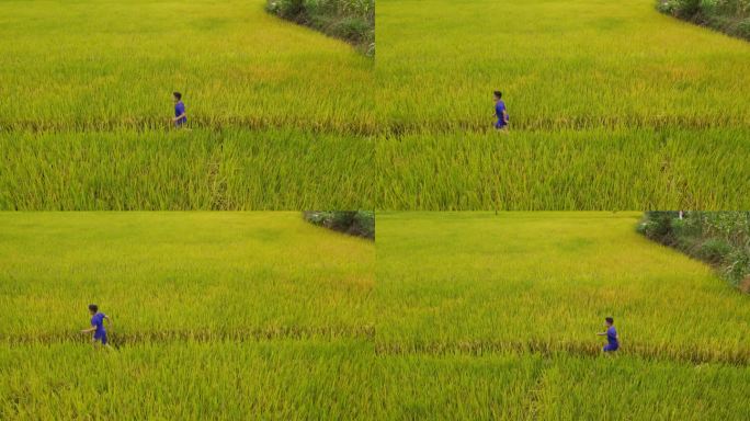 田间奔跑的小男孩