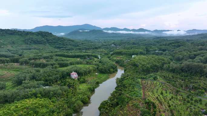 万宁兴隆热带雨林山地森林河流