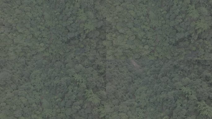 贵州遵义佛光岩景区航拍