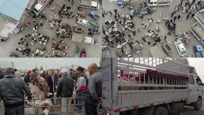 牛羊交易市场新疆牛羊巴扎