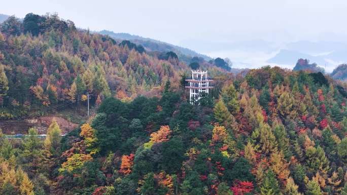 四川广元旺苍光头山秋色航拍视频合集5