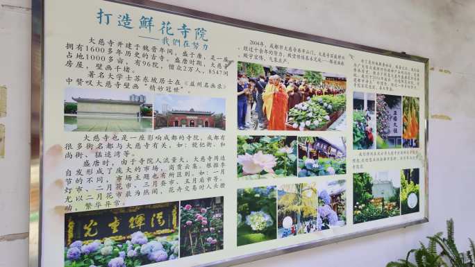 成都大慈寺寺庙佛像佛祖禅内景【组镜】