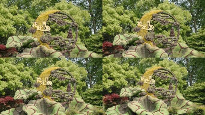 浙江杭州西湖风光