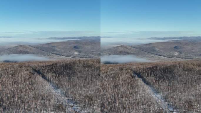 竖屏航拍大兴安岭云海雾凇1028 (2)