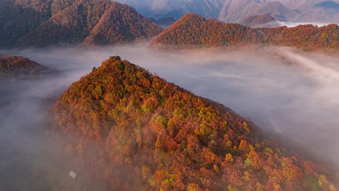 秋天山间晨雾群山日出