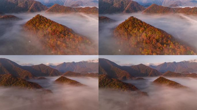 秋天山间晨雾群山日出