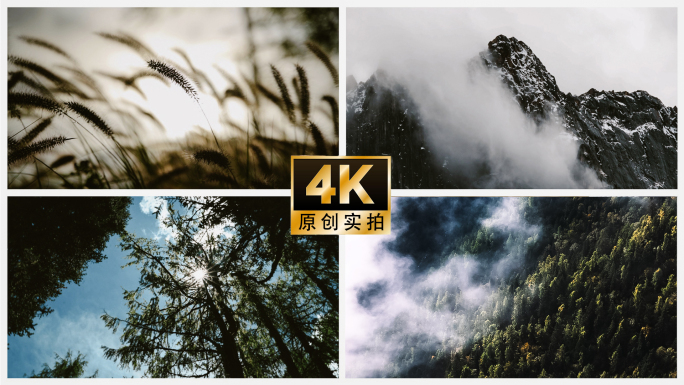 自然风吹火微风森林火烧云晚霞生态环境意境
