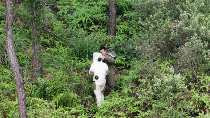 航拍肇庆德庆农村养蜂基地胡蜂马蜂培育