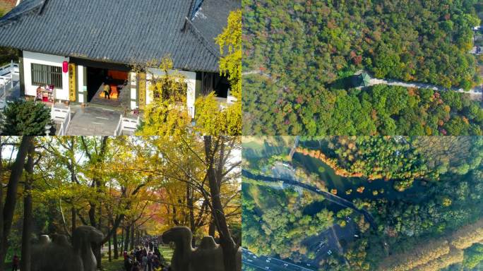 南京秋天航拍，景点 塔 树 湖 紫金山