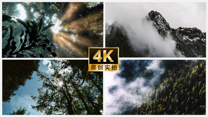 自然风吹火微风森林火烧云晚霞生态环境意境