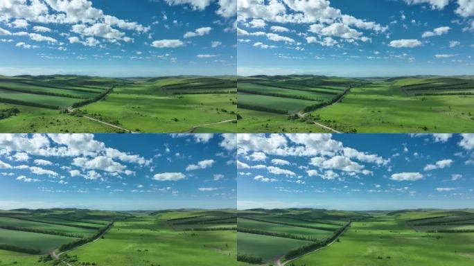 呼伦贝尔垦区田野风光