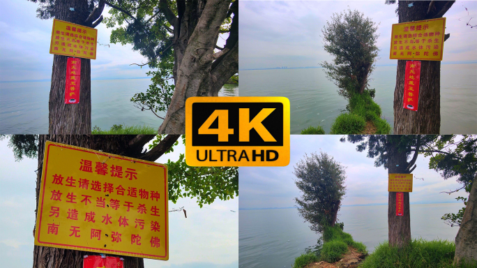 温馨提示选择合适物种放生标志牌随意放生