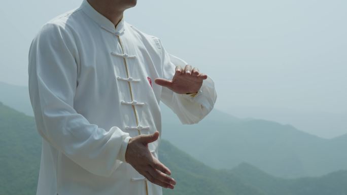 山顶太极 太极推手