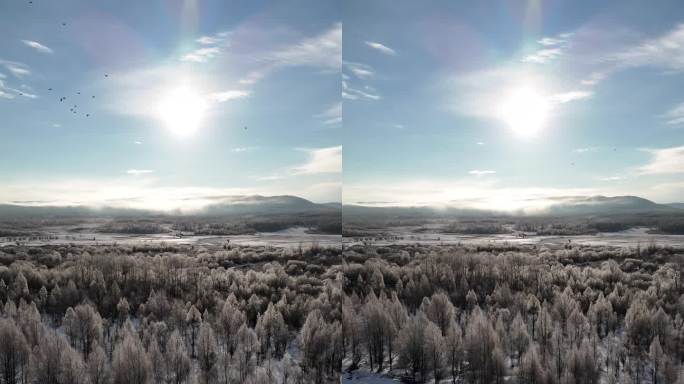 竖屏航拍大兴安岭雪原湿地雾凇1102(8