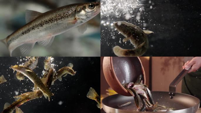 河鱼 小河鱼 冷水鱼 东北原生鱼