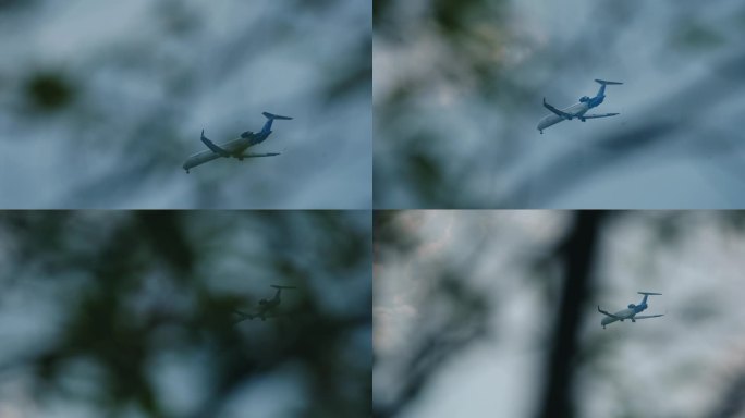 私人飞机【4K25P】