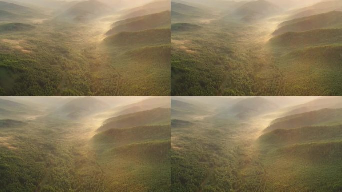 航拍黎明山林朝阳