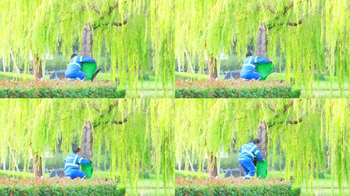 工人在对树木进行维护