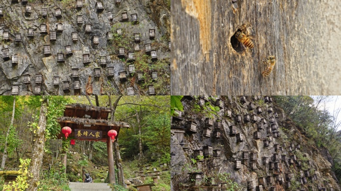 神农架官门山悬崖蜂箱