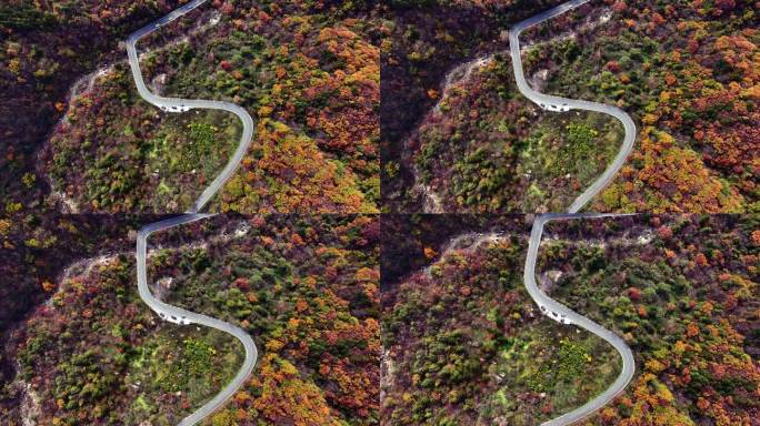 航拍陕西秦岭宁陕广货街肠子峡秋色13