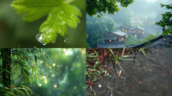 【4K】唯美自然春雨空镜