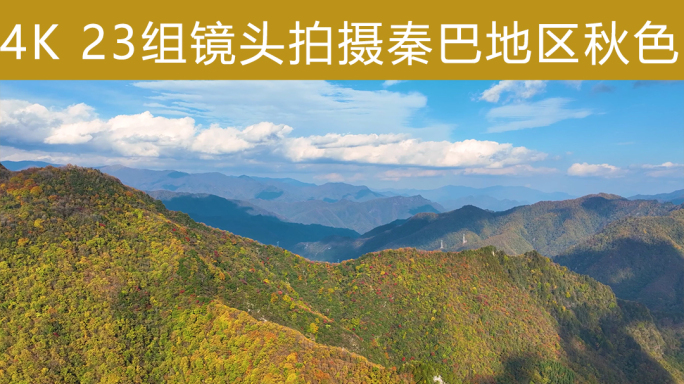 秋天森林航拍 红叶彩叶落叶