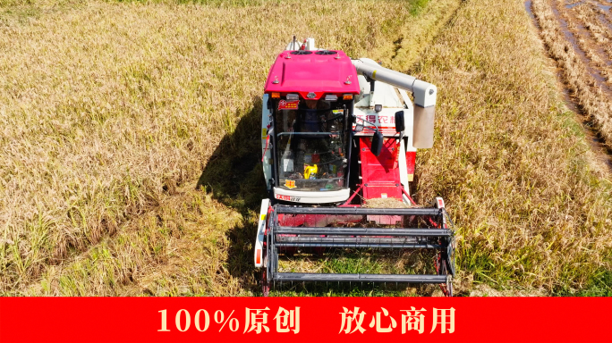 【4k合集1】航拍机械割稻机工作中