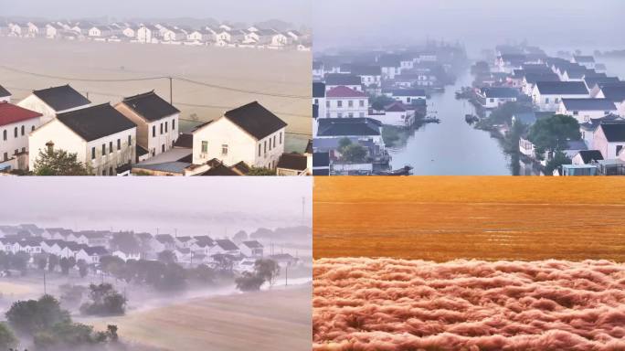 阳澄湖秋日晨雾