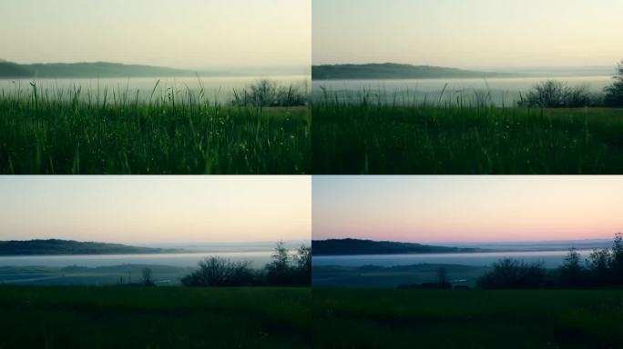 绿色 宁静 黎明 户外 风景