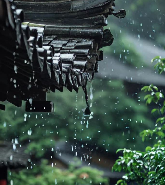 树叶晃动，下雨瓦房