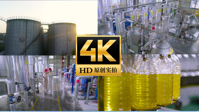 食用油色拉油菜籽油储油罐压榨灌装生产线