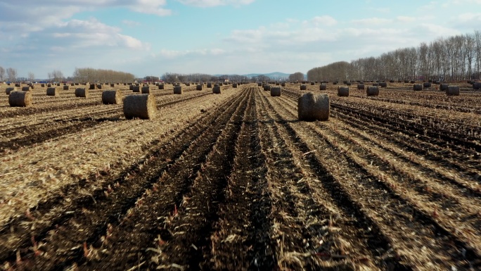 航拍玉米秸秆包