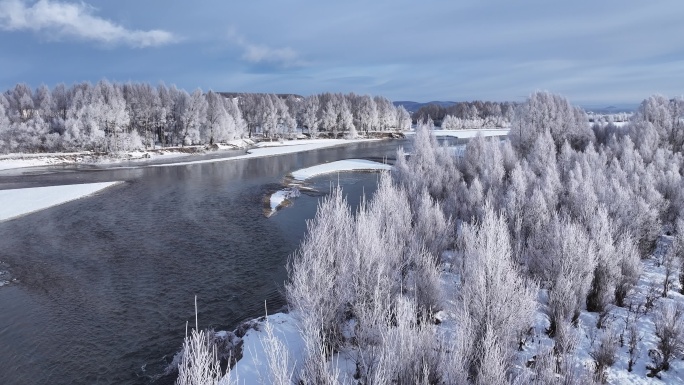 雪柳冰雪世界雾凇241104 (17)