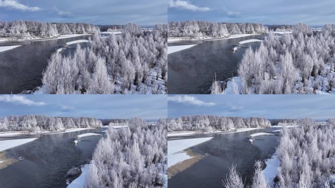 雪柳冰雪世界雾凇241104 (17)