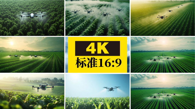 无人机打药 喷洒农药