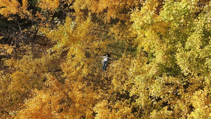 航拍陕西西安地标雁南公园夕阳秋天红枫叶